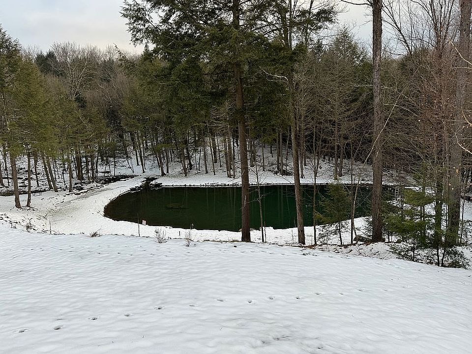 1st image of 395 Roaring Brook Spur