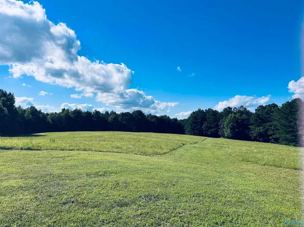 160/ACRE County Road 1201, Vinemont, AL 35179