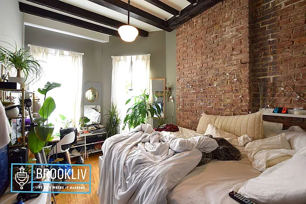 Rented by null | media 16