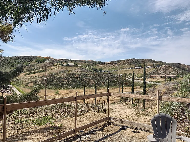 37850 De Portola Rd — Photo 62