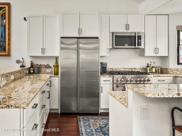 2024 Arbor Park Dr, Basalt, CO 81621