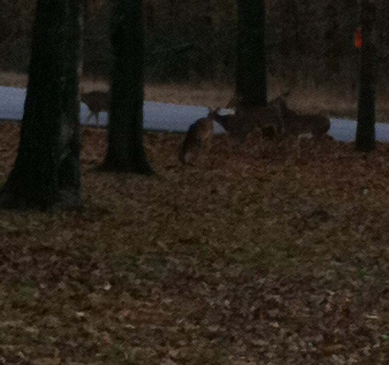 2nd image of 2801 River Ridge Rd