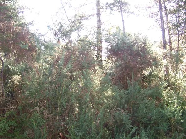 Franklin Ave SW, Bandon, OR 97411