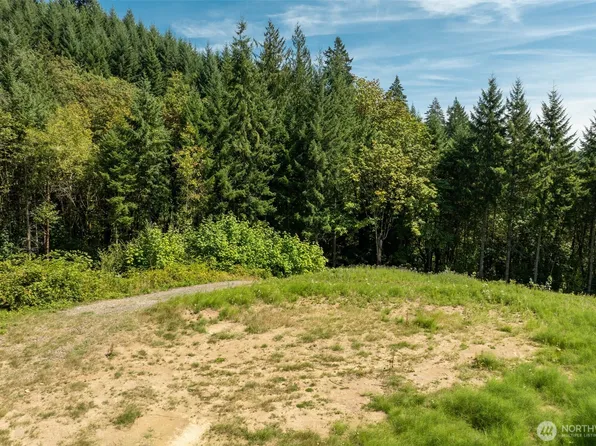239 Junco Lane, Woodland, WA 98674