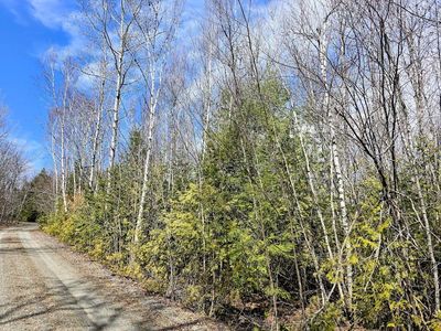 Lot# 6 Winding Road, Bradford, ME, 04410