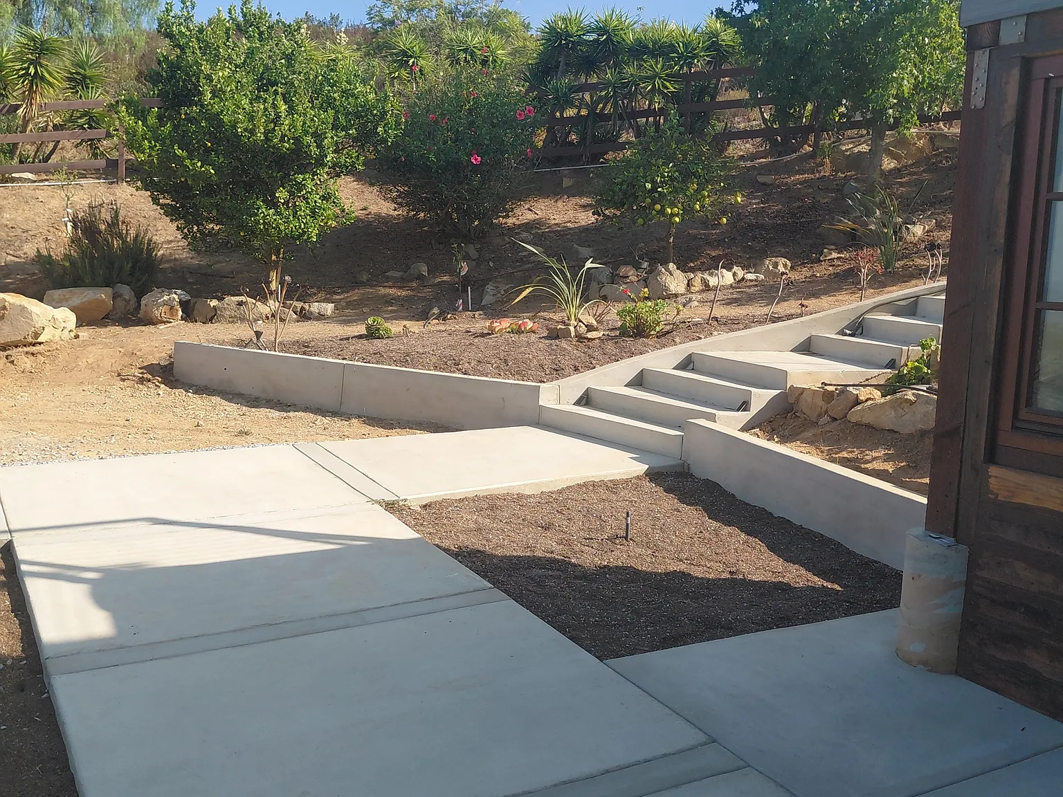 401 Washingtonia - 1 — Photo 2