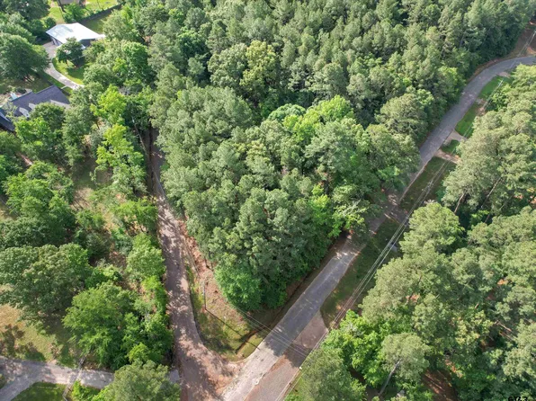 2 E Lake Dr, Gladewater, TX 75647