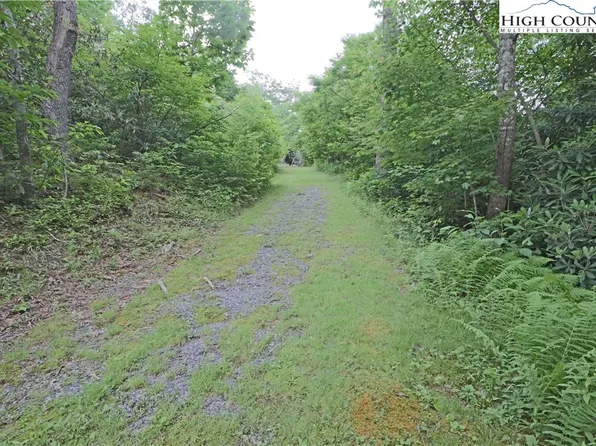 TBD Rhodo #69 Lane, Boone, NC 28607