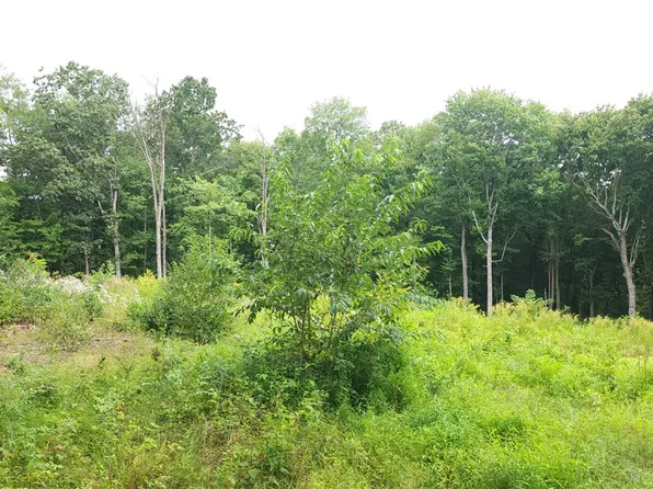 LOT 1 Sandworks Rd, Hunker, PA 15639
