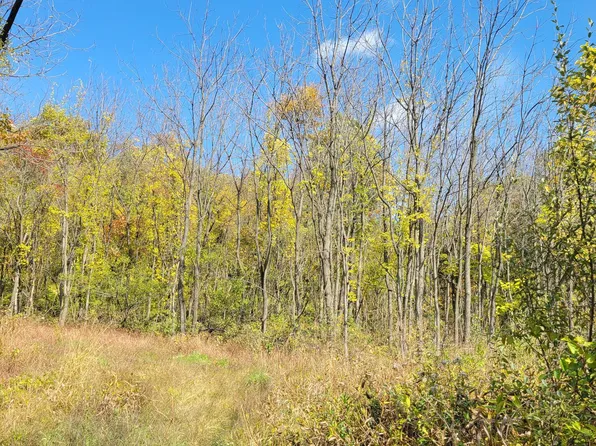 0 Longsdale Dr, Mertztown, PA 19539