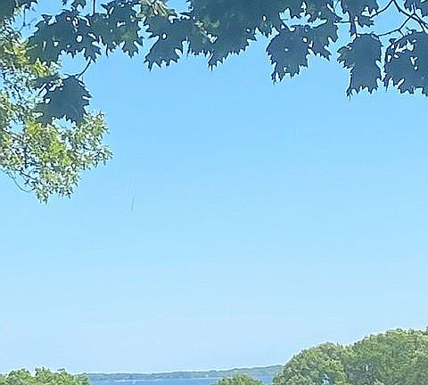 View from dining room slider