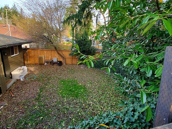 Backyard-fenced