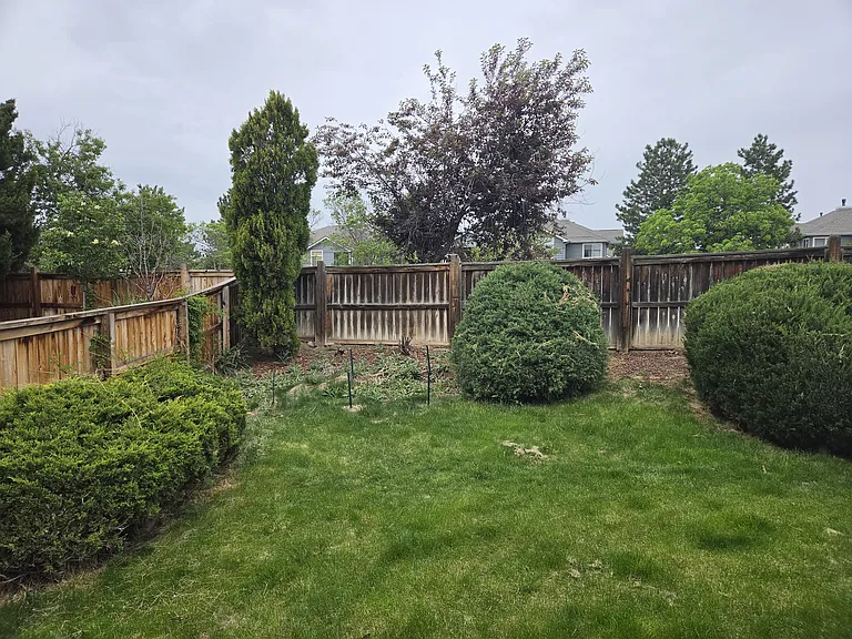 8971 Maribou Ct — Photo 16