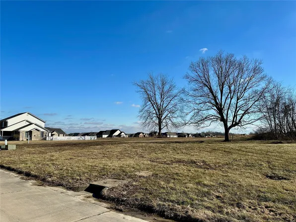 916 Hamburg Ln, Millstadt, IL 62260