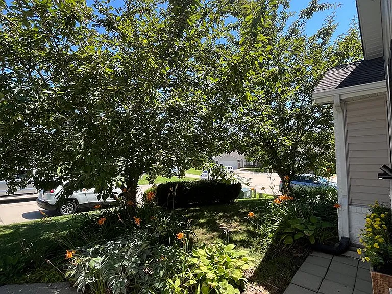 15958 Tracker Ln — Photo 6