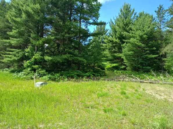 LOT 1 Red Hawk Trl, Fife Lake, MI 49633