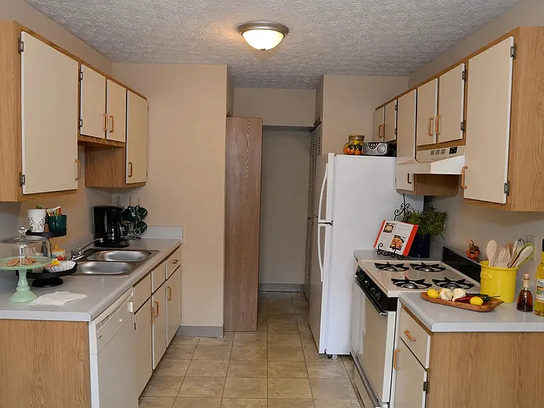 Modern kitchen with wood cabinetry