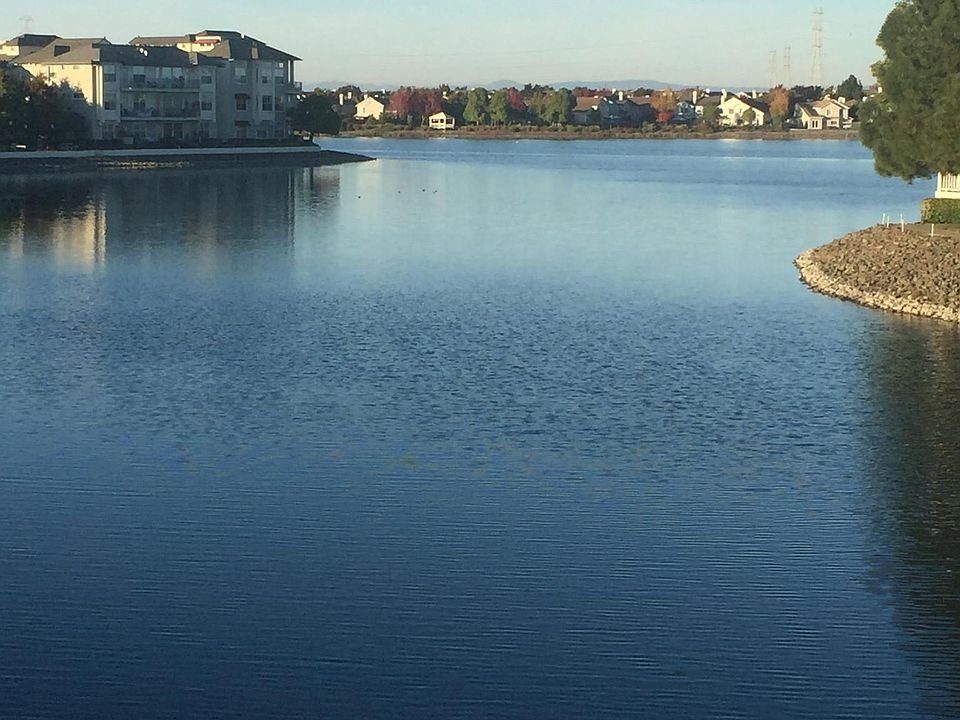 Wide Water View