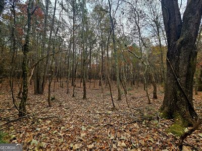 0 Windy Hill Rd, Franklin, GA, 30217