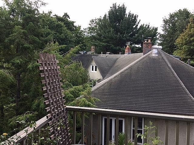 View from terrace