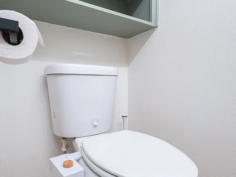 Toilet downstairs