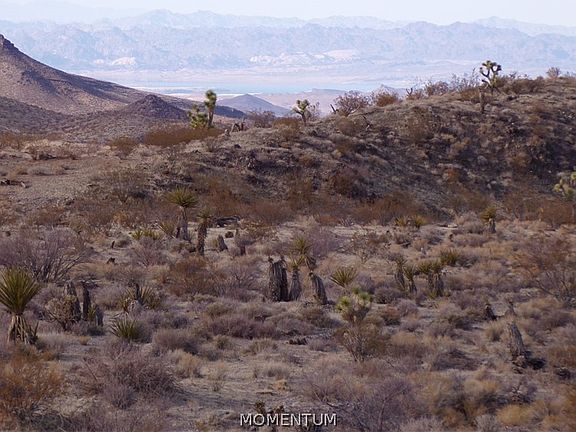 2nd image of 342-05-029 Near Mohave Dr