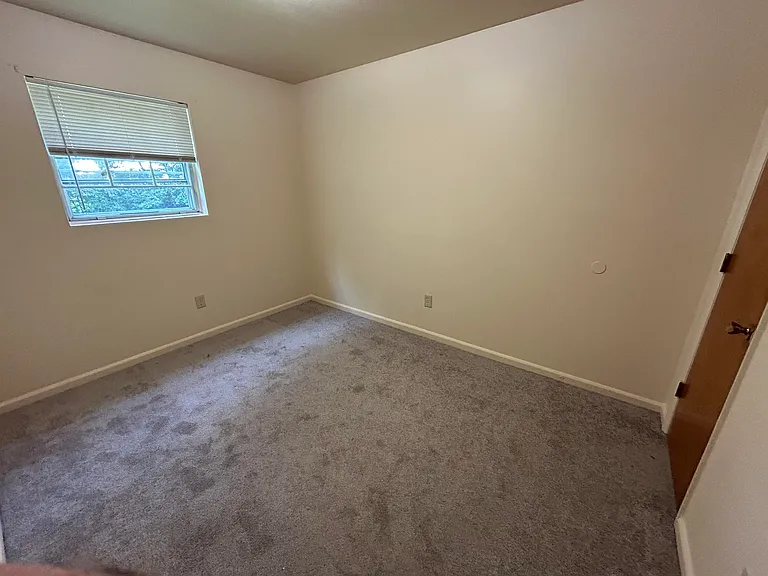 914 Cottage Ave #3 — Photo 3