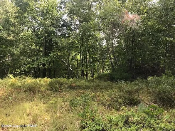 150 Highway 390, Tafton, PA 18464