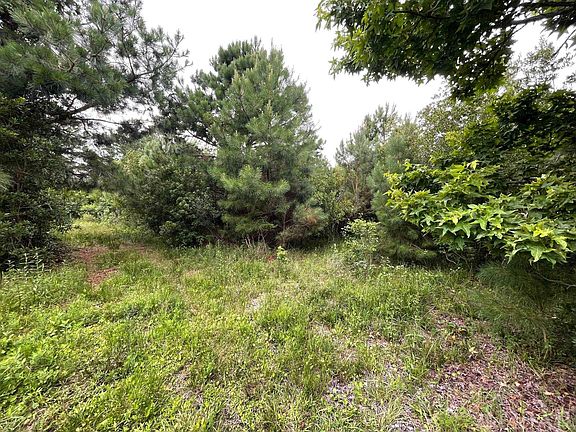 2nd image of 905 Dolphin Ln Lot 22
