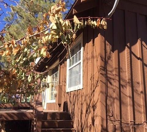 5th image of 4598 Yellow Pine Ave