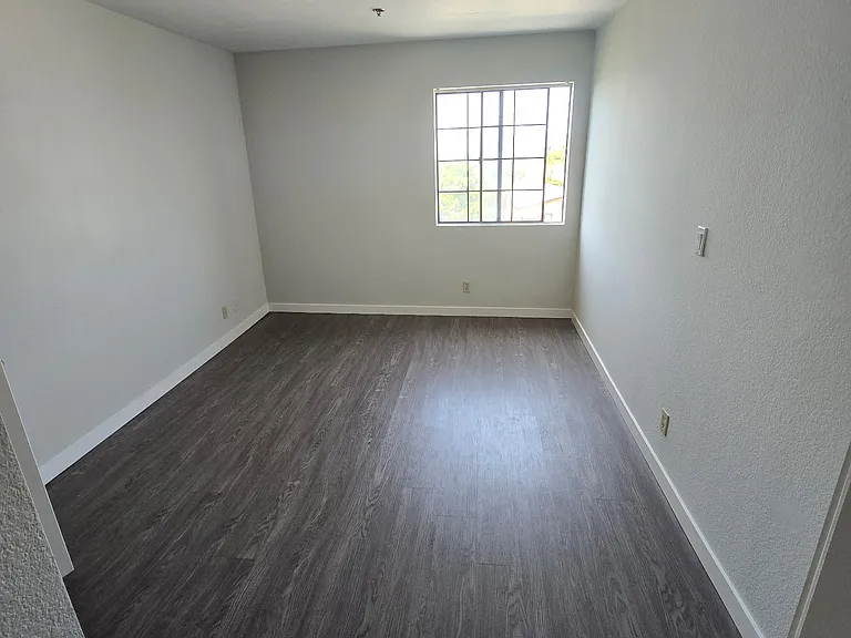 Venice Apartments — Photo 9