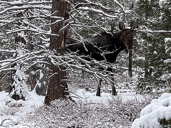 2nd image of 746 Riverside Drive