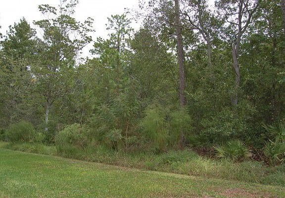 Preserve at rear of home