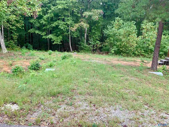 115 Cloudbase Rd, Gurley, AL 35748