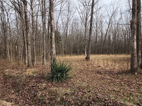 160 E #E, Harviell, MO 63945