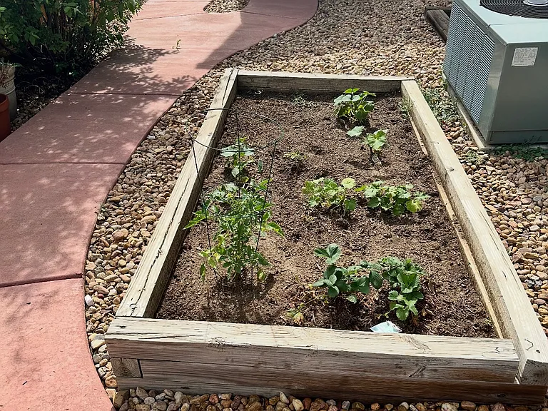 Two garden beds on the north and south sides of the house