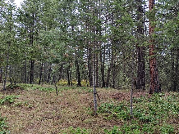 4th image of Nhn Hilltop Dr