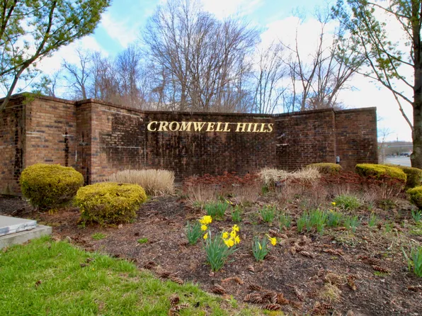 10 Cedarland Court #10, Cromwell, CT 06416