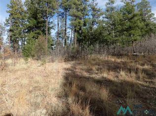10 Lower Canyon Rd, Montezuma, NM 87731