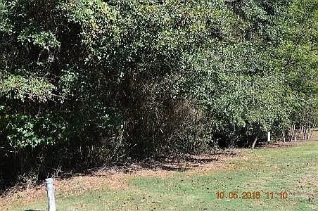 1st image of 102 Grand Oak Cir