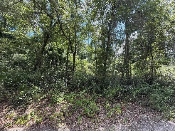 313 Calhoun Ave Lot 7, Florahome, FL 32140