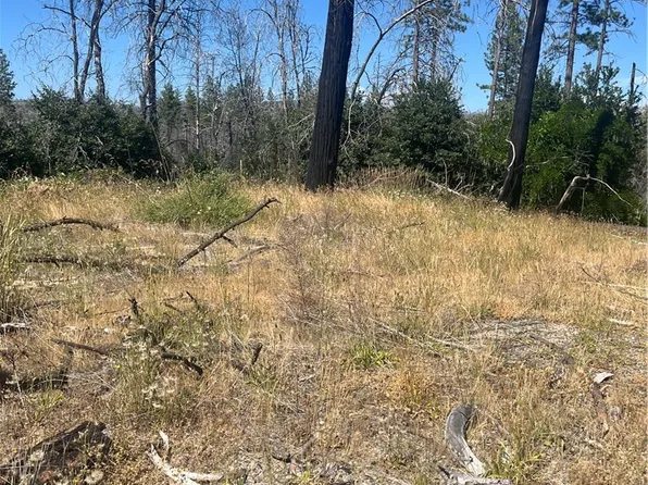 122 Simpson Ranch Rd, Berry Creek, CA 95916