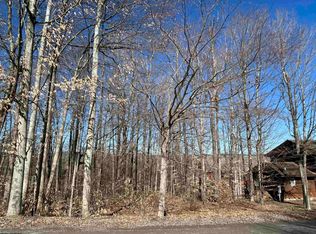 16 Winters Edge Dr, Davis, WV 26260