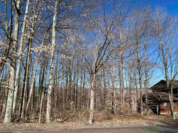16 Winters Edge Dr, Davis, WV 26260