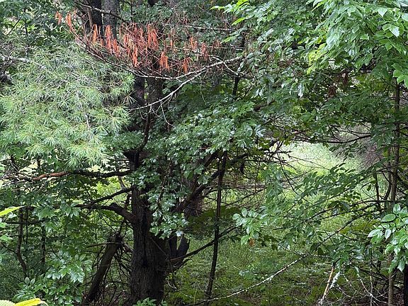 4th image of 964 N Mary Lake Rd