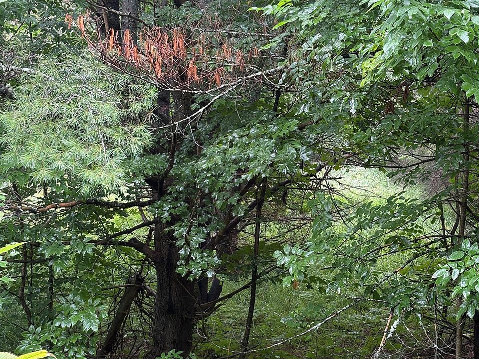 2nd image of 958 N Mary Lake Rd