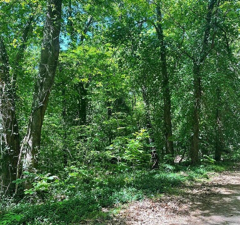 2nd image of E 248th Rd
