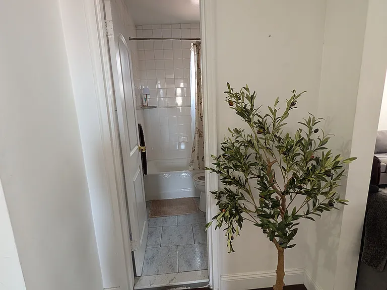 225 W 71st St #PH — Photo 10