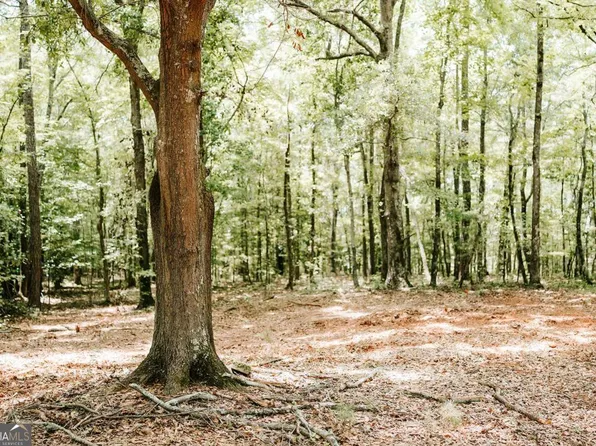 2605 Union Point Rd, Union Point, GA 30669