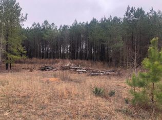 324 McCoy Rd, Wrightsville, GA 31096